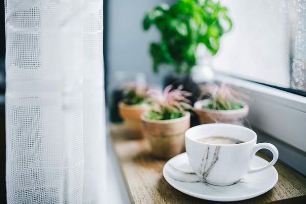 A tidy desk with a mug and plant in soft daylight